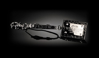 D.A.D オーナーズ プレート タイプ クロコダイル ＆ タイプ リーフ【HA062】