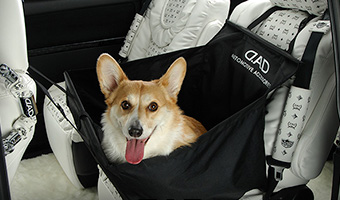 D.A.D ペット ドライブボックス【HA355-02】【HA355】