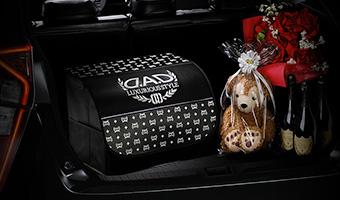 D.A.D トランクボックス タイプ ディルス【HA399】