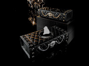 LUXURY TISSUE CASE type CROWN