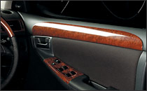 Door Trim Panel