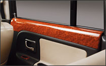 Rear Door Trim Panel