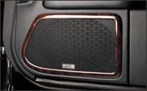 Luxury Speaker Grill