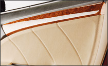 Rear Door Trim Cover