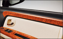 Door Trim Panel