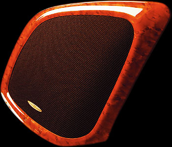 LUXURY SPEAKER GRILLE