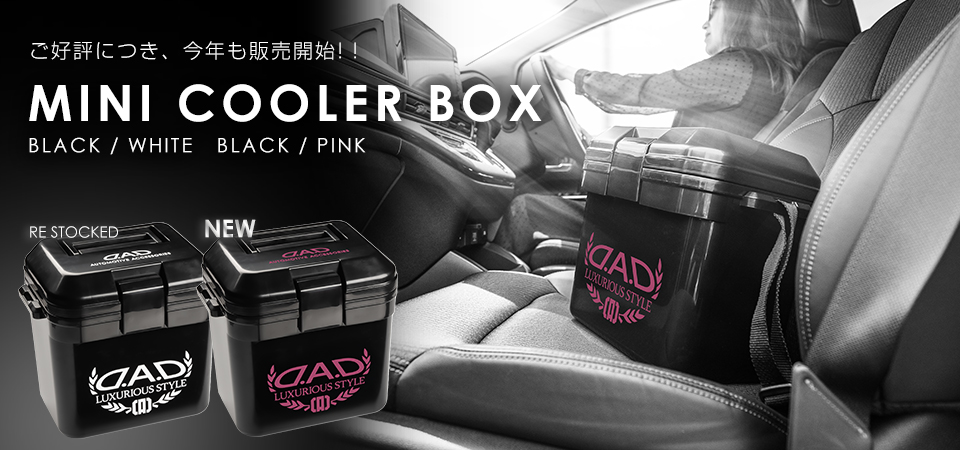 ミニクーラーボックス