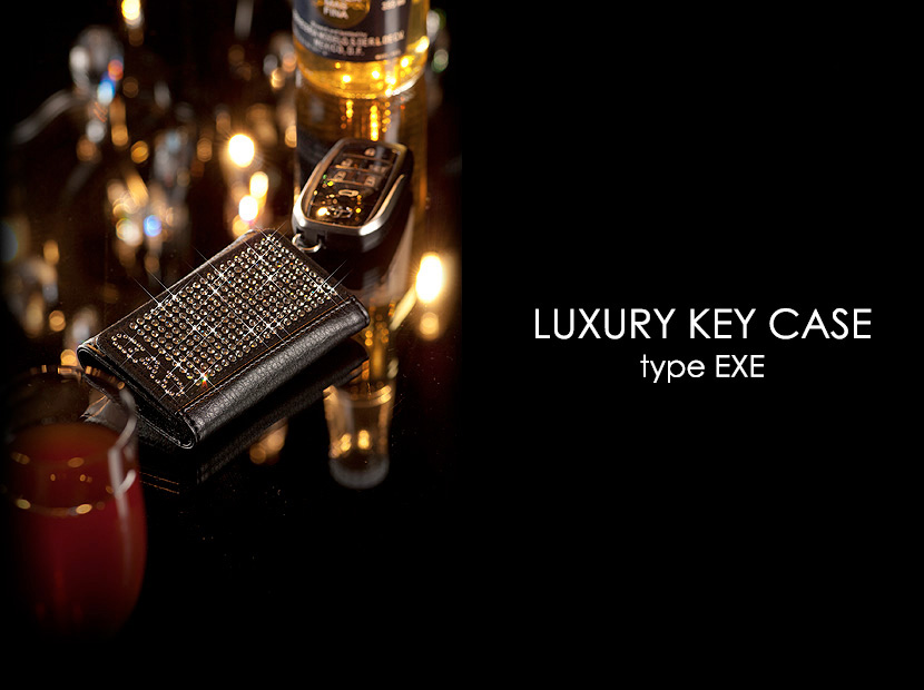 LUXURY KEY CASE type EXE