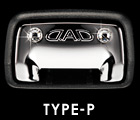 TYPE-P