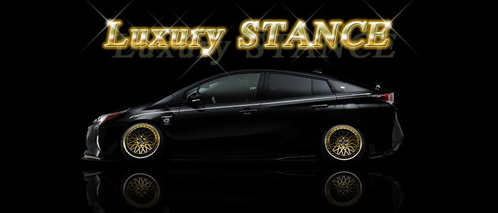 LUXURY STANCE