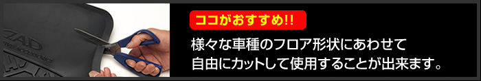 ココがおすすめ