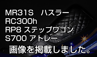 サンバイザーカバー<br>モノグラムレザー
