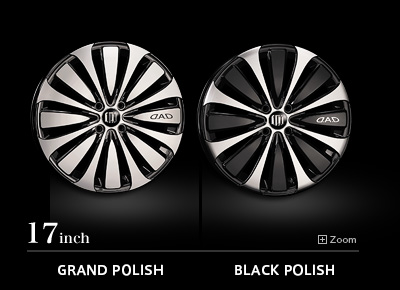 17inch | GRAND POLISH / BLACK POLISH